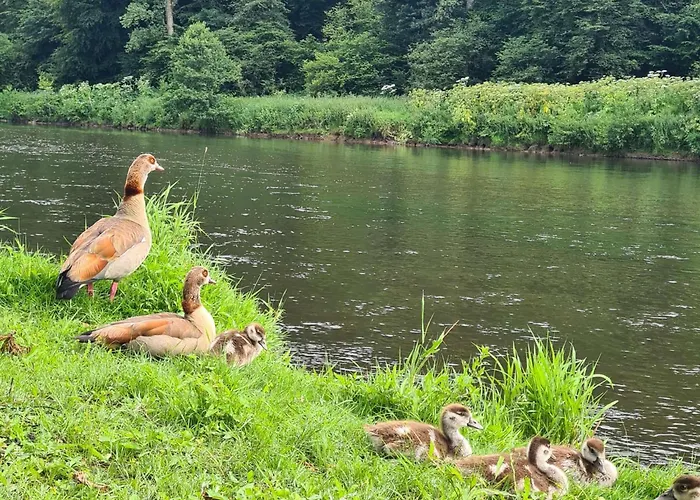 Ferienwohnung Bergischer Dreiklang